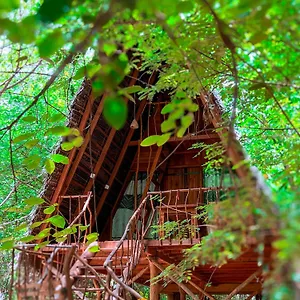 *** Resort Tree House Ambasewana Sri Lanka