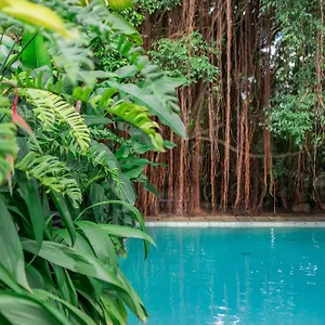 Bed & Breakfast The Fern Cove - Colombo, Battaramulla